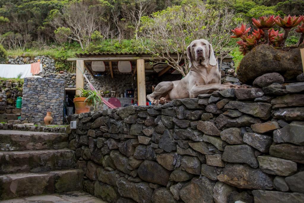 Caldeira Guesthouse Faja da Caldeira de Santo Cristo المظهر الخارجي الصورة